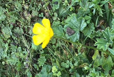 Casă cu 7 camere cu Teren 300 Mp în Breaza - 8