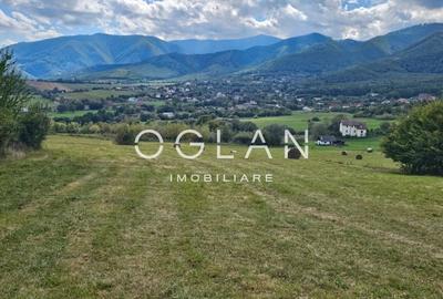 Teren Tocile (parcelabil) 3500 mp - 5