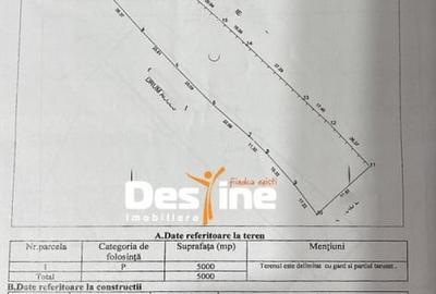 Teren agricol extravilan de 5000 mp, în Șaru Dornei - 2