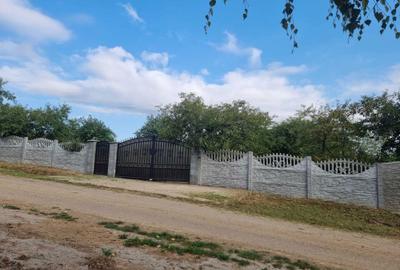 Spațiu comercial, în Viile Satu Mare - 3