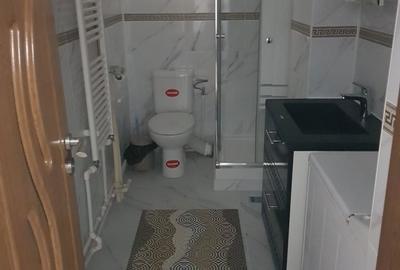 Apartament cu 4 camere decomandat în Ostroveni - 6