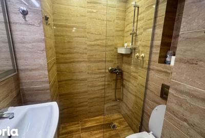 Apartament cu 2 camere în Cișmigiu - 7