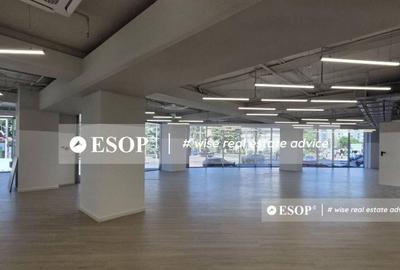 Cladire de birouri de vanzare, zona Victoriei, 9750 mp, I... - 22