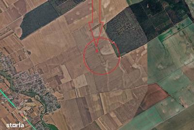 Spațiu comercial, în Frumușani - 3