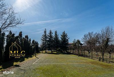 Casă cu 7 camere cu Teren 1935 Mp în Gruiu - 19