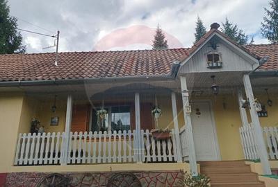 OCAZIE!!! CASA SUPERBA cu teren in JULITA jud Arad in M tii Zarandului - 49