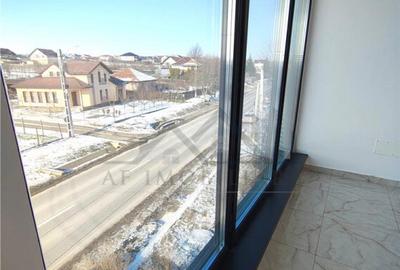 Spatiu comercial Lunca Cetatuii - langa Centura - 22