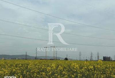 Teren de 15536 mp, în Nufărul - 3