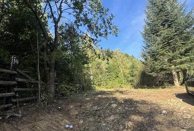 Teren de 5921 mp, în Sucevița - 2