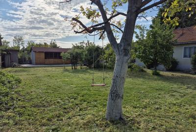 Casa batraneasca , foisor si teren de vanzare - 7
