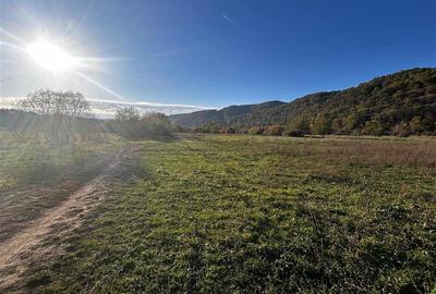 Teren Construcții intravilan de 2754 mp, în Exterior Vest - 2