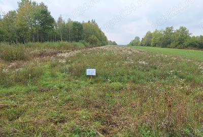 Vand teren intravilan Gurahont, str. Crisan(fosta ferma pomicola) - 1