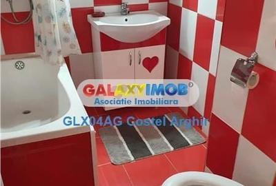 Garsonieră în Craiovei - 8