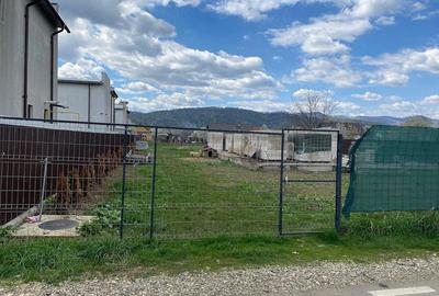 Teren de 1536 mp, în Dumbrava - 5