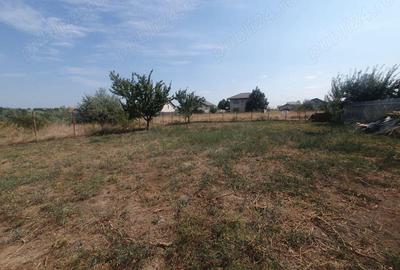 Teren în Vânători - 5