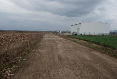 De vanzare terenuri intravilane intre Chilieni si Ozun - 18