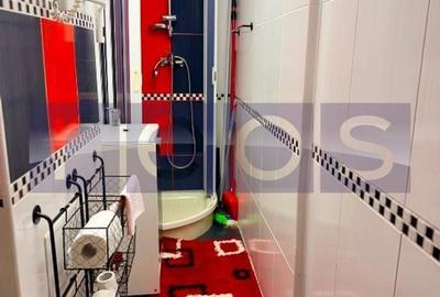 Apartament cu 2 camere semidecomandat, mobilat în Vitan Mall - 10