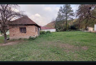 Casă cu 2 camere în Bratca - 4