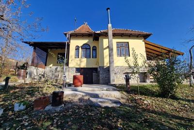 Provita,central, casa renovata integral,vedere de vis - 1