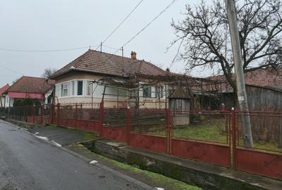 Casa de vanzare in Ibanesti - 1