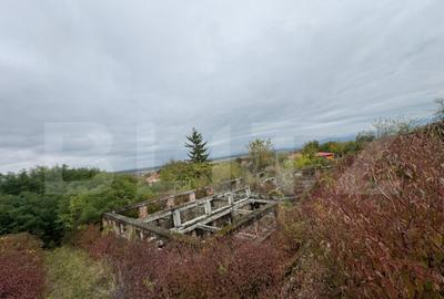 Teren intravilan 7362 mp, Oportunitate de investitie, - 1