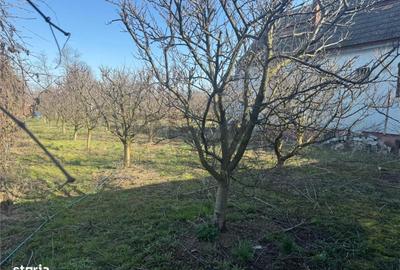 Casă cu 2 camere cu Teren 1000 Mp în Cefa - 3