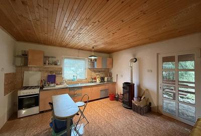 Casă cu Teren 1400 Mp în Bulz - 4