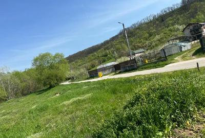 Teren de 500 mp, în Leamna de Sus - 2