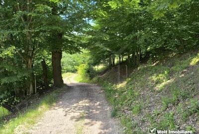 Teren extravilan, 1423 mp, Huta, com. Chiuesti, jud. Cluj, pt. investitie - 4