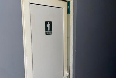 Spa?iu comercial, 142 mp + terasa 40 mp, zona Central - 3