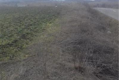 Teren de 3533 mp, în Florești