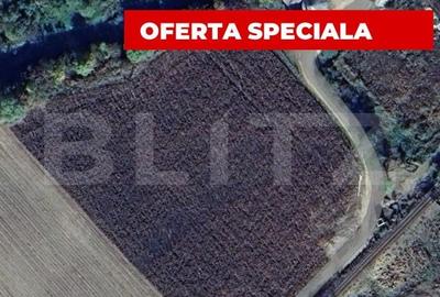 Teren extravilan cu potential ridicat, 10.000 mp, zona Blaj - Petrisat - 2