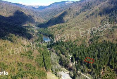 Teren de 983 mp, în Nucșoara - 3
