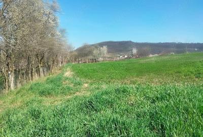 Teren de 3300 mp, în Râciu - 1