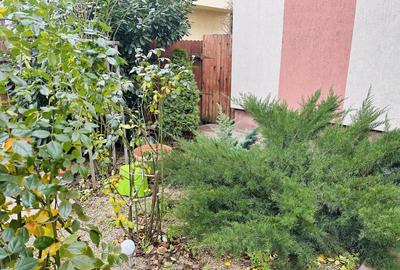 Super Vila individuala, 179 mp construiti, 266 mp teren Chiajna - 18