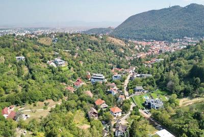 Teren intravilan Brasovul Vechi - 7