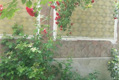 Casă cu 3 camere cu Teren 450 Mp în Hidiș - 7