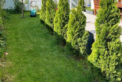 Casă cu Teren 300 Mp în Dragomirești-Deal - 3