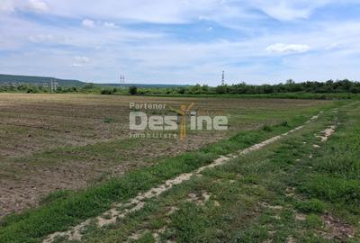 Teren Construcții extravilan de 5800 mp, în Mărăcineni - 7