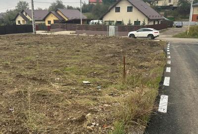 Spațiu comercial, în Târgu Frumos - 2