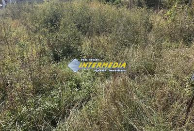 Teren intravilan I de vanzare I in Cetate I zona superba I 500 mp I - 3