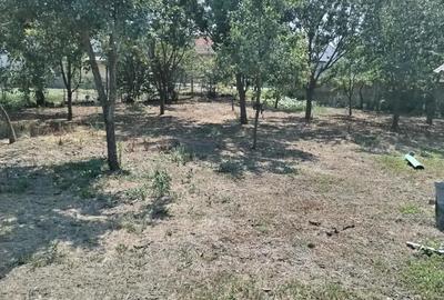 Proprietar vand casa loc Racovita judet Timi? - 4