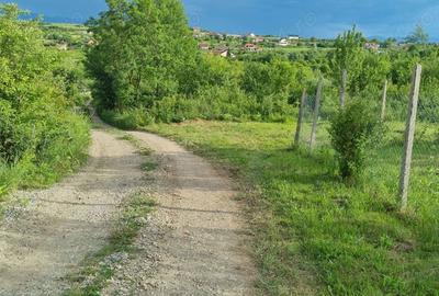 Teren de 1000 mp, în Daia - 3