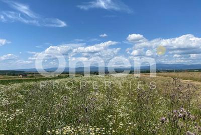 Teren Construcții intravilan de 2562 mp, în Coaș - 1