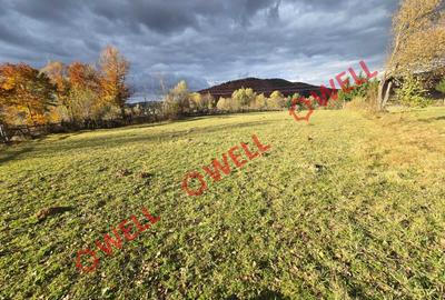 Teren de vânzare în Vama Buzăului, sat Buzaiel! - 2