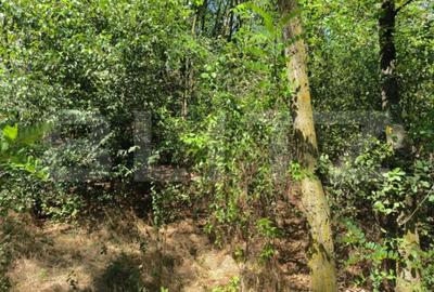 Teren de 3000 mp, în Central - 2