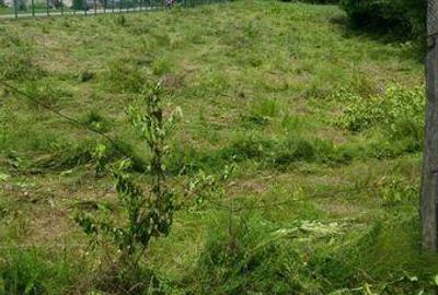 Teren de 3665 mp, în Păulești - 2