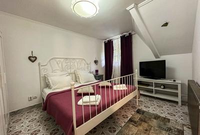 Afacere de succes in Delta Dunarii - Complex turistic la cheie - 14
