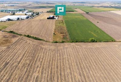 Teren agricol extravilan de 4345 mp, în Freidorf