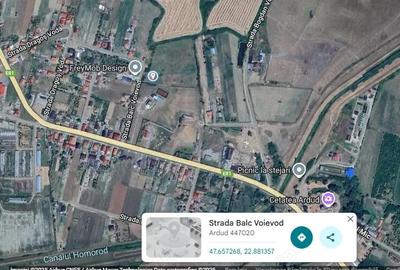 Teren de 5000 mp, în Ardud - 3
